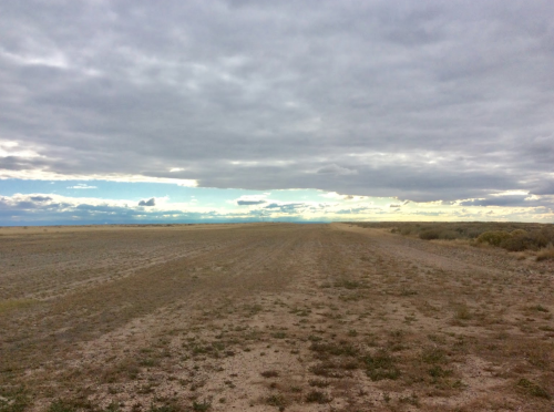 A vast, open landscape under a cloudy sky, with sparse vegetation and distant mountains on the horizon.