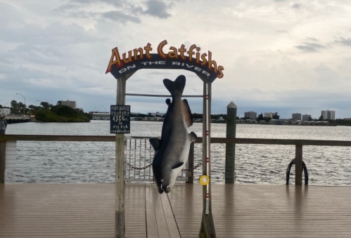 Sign for "Aunt Catfish's on the River" with a large fish hanging on a dock, overlooking a river and city skyline.