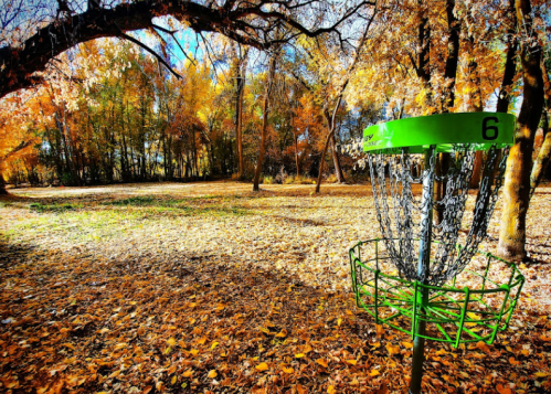 A vibrant disc golf basket surrounded by colorful autumn leaves and trees in a sunny park setting.