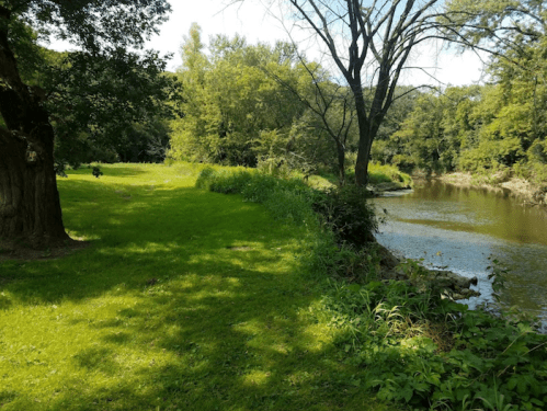 A serene riverside scene with lush green grass, trees, and calm water under a clear sky.