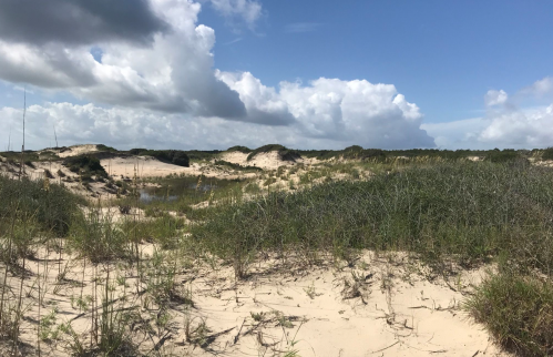 A sandy landscape with grass and dunes under a partly cloudy sky.