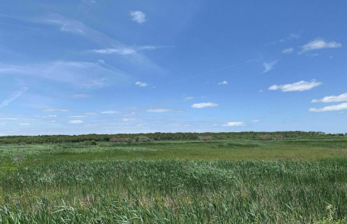 A wide view of a grassy landscape under a clear blue sky with scattered clouds.