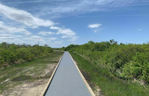 A wooden pathway stretches through lush greenery under a bright blue sky with scattered clouds.