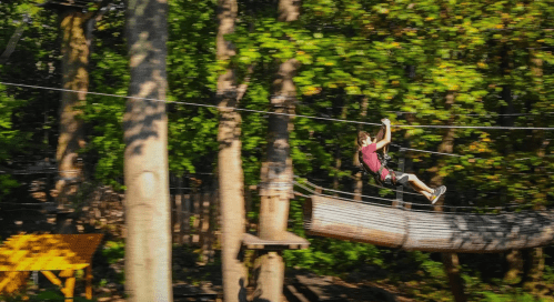 A person zip-lining through a forest, surrounded by trees and greenery, with a wooden bridge in the background.