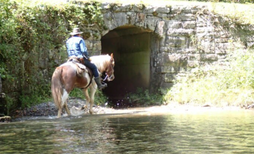 A person on horseback wades through a shallow stream near a stone tunnel entrance surrounded by greenery.