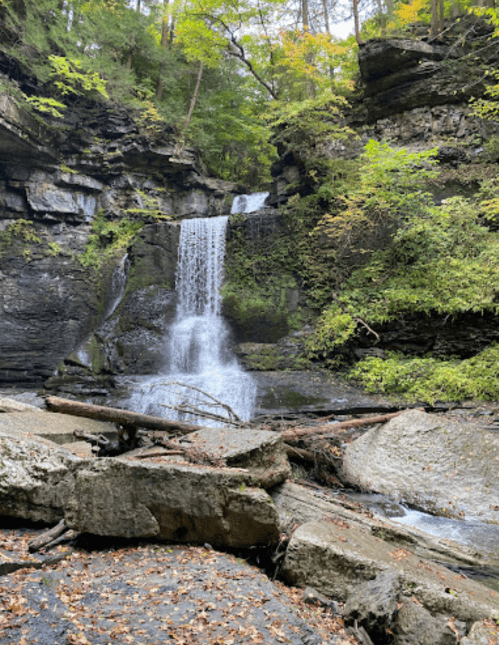 A serene waterfall cascades over rocky cliffs, surrounded by lush green trees and autumn foliage.