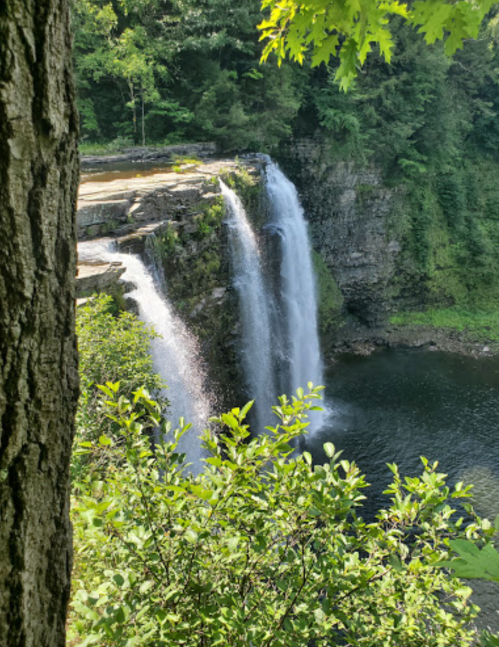 A scenic view of a waterfall cascading into a serene pool, surrounded by lush greenery and trees.