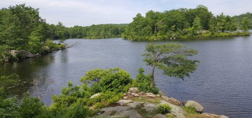 A serene lake surrounded by lush greenery and rocky shores under a clear sky.