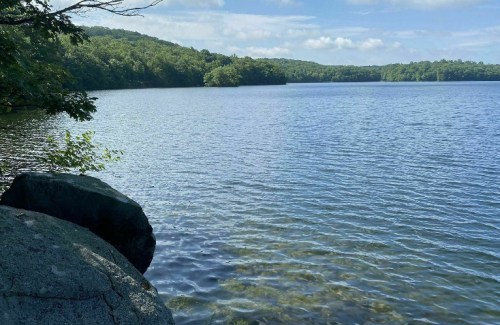 A serene lake surrounded by lush greenery under a clear blue sky, with gentle ripples on the water's surface.