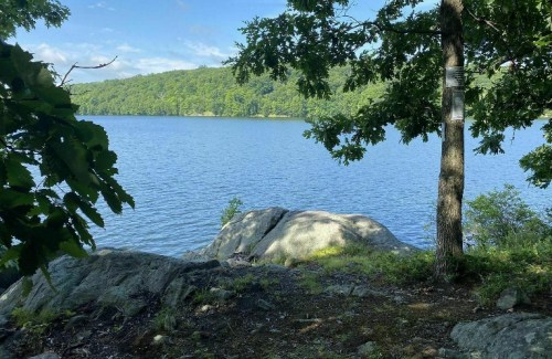 A serene lake surrounded by trees and rocky shore, under a clear blue sky with gentle clouds.