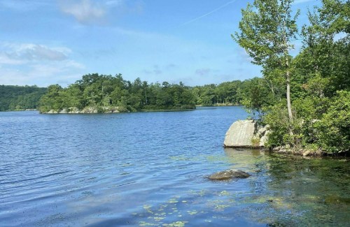 A serene lake scene with lush greenery, a small island, and clear blue skies reflecting on the water's surface.