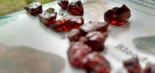 Scattered red gemstones on a textured surface, with a blurred background of a natural setting.