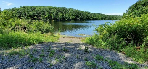 A serene lake surrounded by lush greenery and trees under a clear blue sky. Gravel path leads to the water's edge.