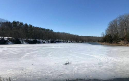 A frozen lake surrounded by trees under a clear blue sky, with patches of snow on the ground.