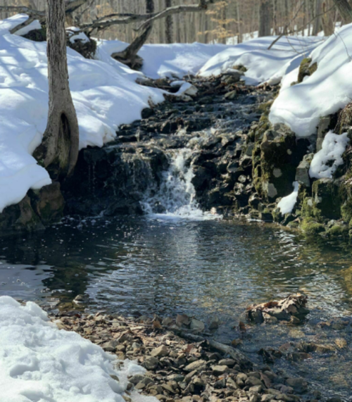 A serene winter scene featuring a small stream flowing over rocks, surrounded by snow-covered ground and trees.