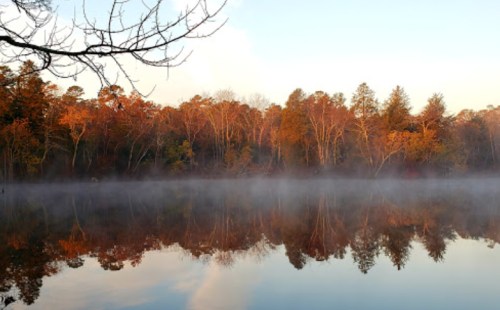 A serene lake at dawn, surrounded by trees with autumn foliage, reflecting mist and soft morning light.