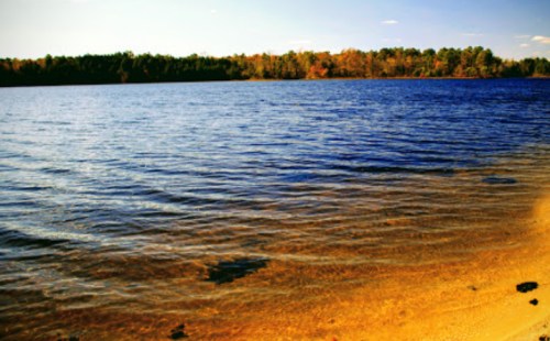 A serene lake with calm blue water, sandy shore, and trees in autumn colors lining the background.