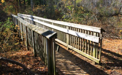 A wooden bridge winding through a forest, surrounded by autumn foliage and sunlight filtering through the trees.