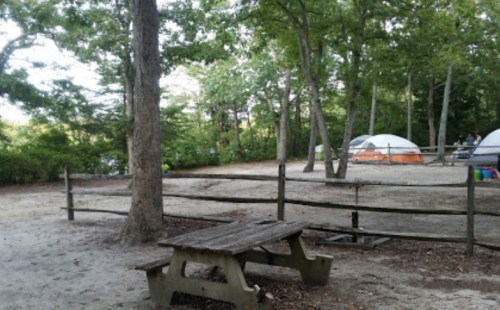 A campsite with a wooden picnic table, surrounded by trees and two tents in a sandy area.