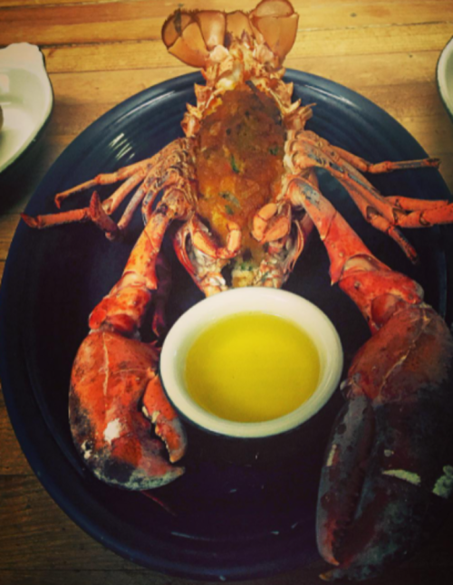 A cooked lobster on a black plate, served with a small bowl of olive oil.