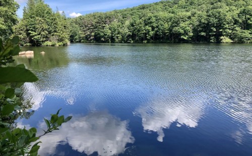 A serene lake surrounded by lush green trees, reflecting clouds in the calm water under a clear blue sky.