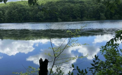 A serene lake surrounded by lush green trees, reflecting clouds and foliage on its calm surface.