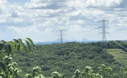 A view of green hills with power lines in the foreground and a distant city skyline under a cloudy sky.