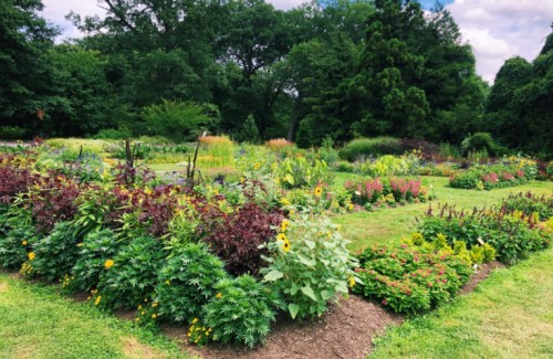 A vibrant garden filled with colorful flowers and lush greenery under a partly cloudy sky.