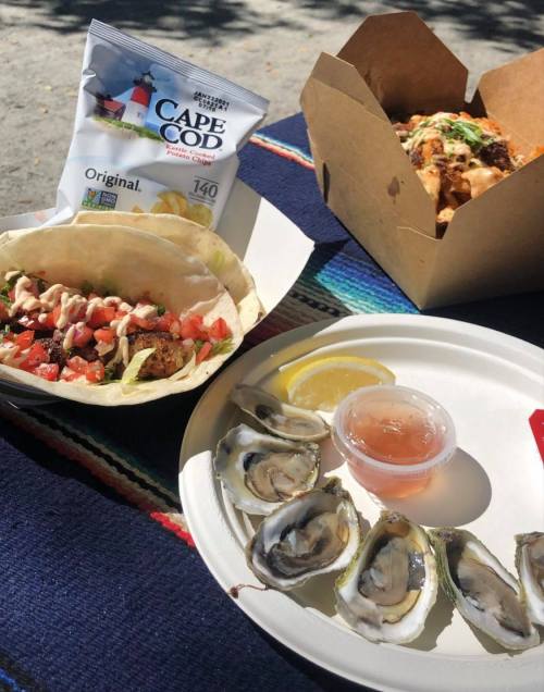 A plate with oysters, fish tacos topped with salsa, and a side of chips on a picnic blanket.