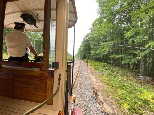A view from inside a train, showing the conductor and a scenic forested railway track ahead.