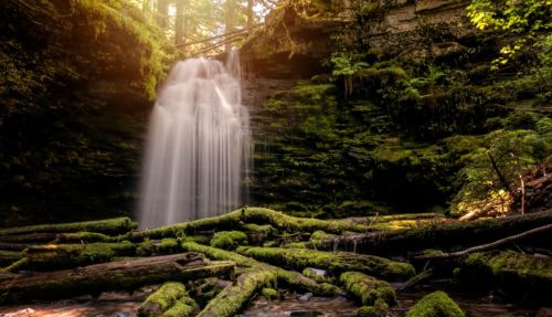 A serene waterfall cascades over moss-covered rocks, surrounded by lush greenery and fallen logs in a tranquil forest setting.