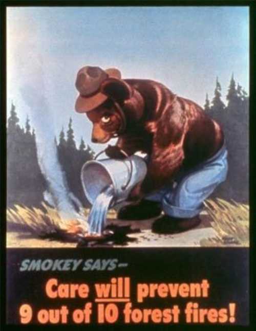 A bear in a hat pours water on a small fire, promoting forest fire prevention with the message, "Care will prevent 9 out of 10 forest fires!"