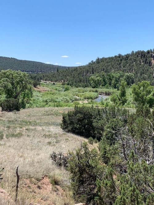 Lush green landscape with trees and a river, under a clear blue sky, surrounded by rolling hills.