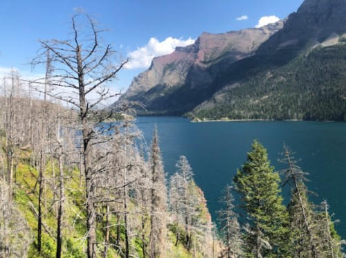 A serene lake surrounded by mountains, with dead trees in the foreground and lush greenery along the water's edge.