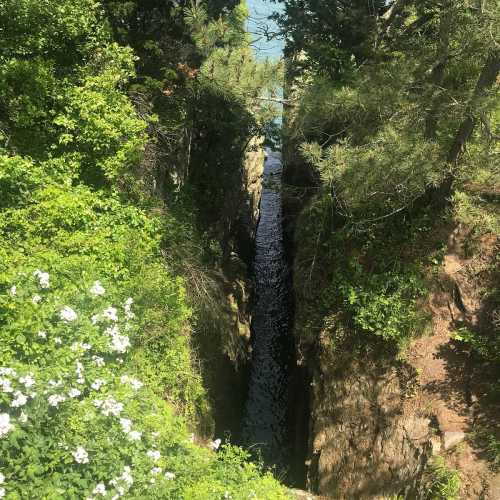 A narrow canyon surrounded by greenery, leading to a body of water in the distance.