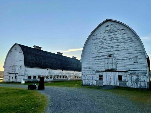 Two large, weathered barns with curved roofs, set against a clear sky and grassy area.