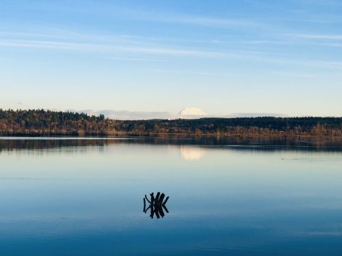 A calm lake reflects a clear sky and distant mountains, with a wooden post emerging from the water in the foreground.