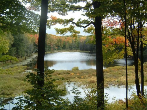 A serene lake surrounded by trees with autumn foliage reflecting on the water's surface.