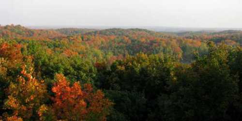 A scenic view of rolling hills covered in vibrant autumn foliage in shades of orange, red, and green.