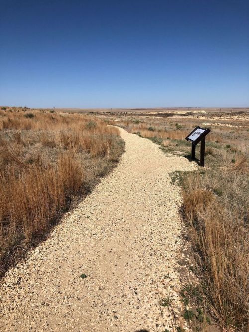 A winding gravel path through a grassy landscape under a clear blue sky, with a signpost visible along the way.