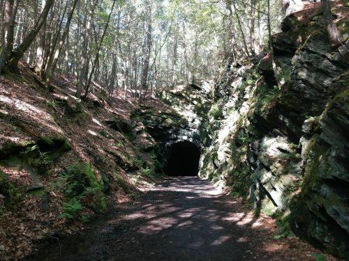 A forested path leads to a dark tunnel surrounded by rocky terrain and lush greenery. Sunlight filters through the trees.