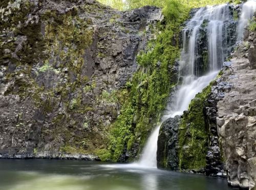 A serene waterfall cascading over moss-covered rocks into a tranquil pool surrounded by lush greenery.