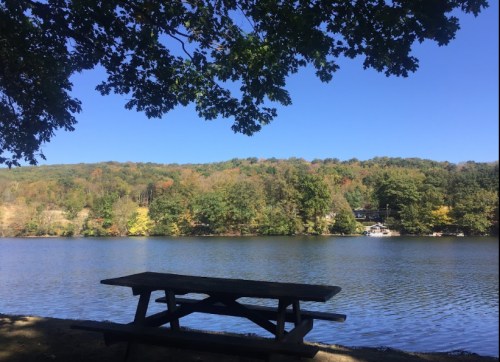 A serene lakeside view with a picnic table in the foreground and lush green hills under a clear blue sky.