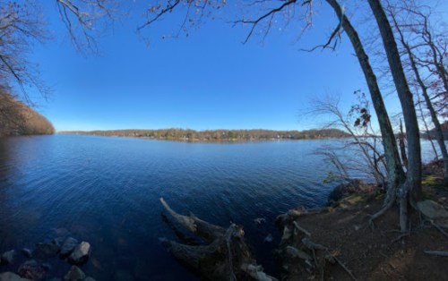 A panoramic view of a calm lake surrounded by trees under a clear blue sky.