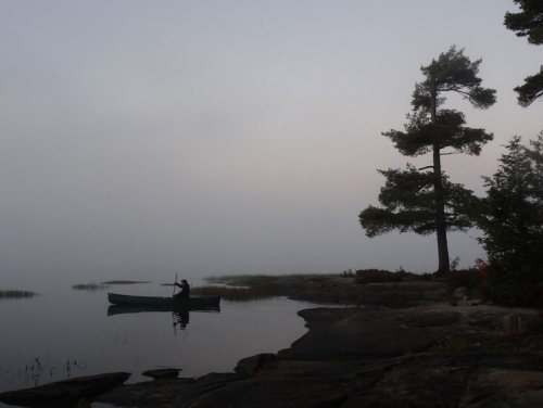 A lone canoeist paddles on a misty lake, with a tall tree silhouetted against the soft, foggy background.