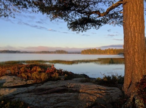 A serene lakeside view at sunrise, with mist over the water and trees framing the scene.