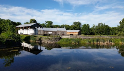 A serene landscape featuring a wooden building by a pond, surrounded by lush greenery and a clear blue sky.