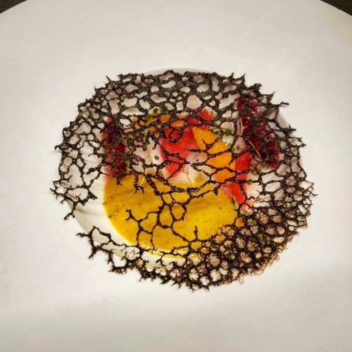 A gourmet dish featuring vibrant sauces and a delicate, lace-like black garnish on a white plate.
