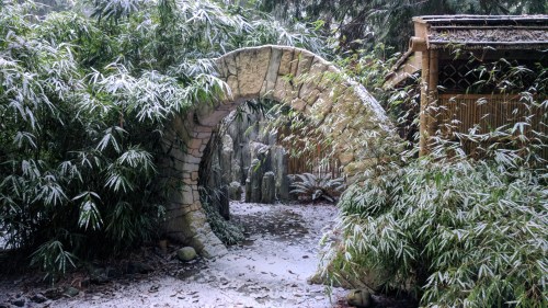 A stone archway surrounded by bamboo, lightly dusted with snow, leading into a serene garden.