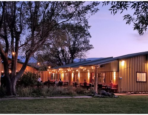 A cozy outdoor dining area with string lights, surrounded by trees, at dusk. Guests are seated at wooden tables.